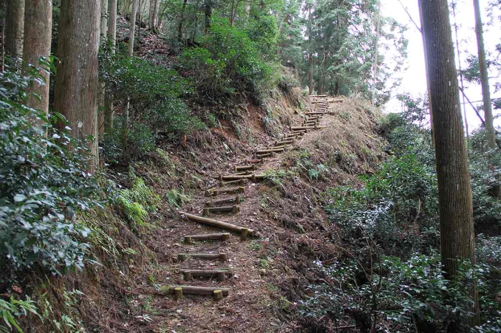 登山道階段
